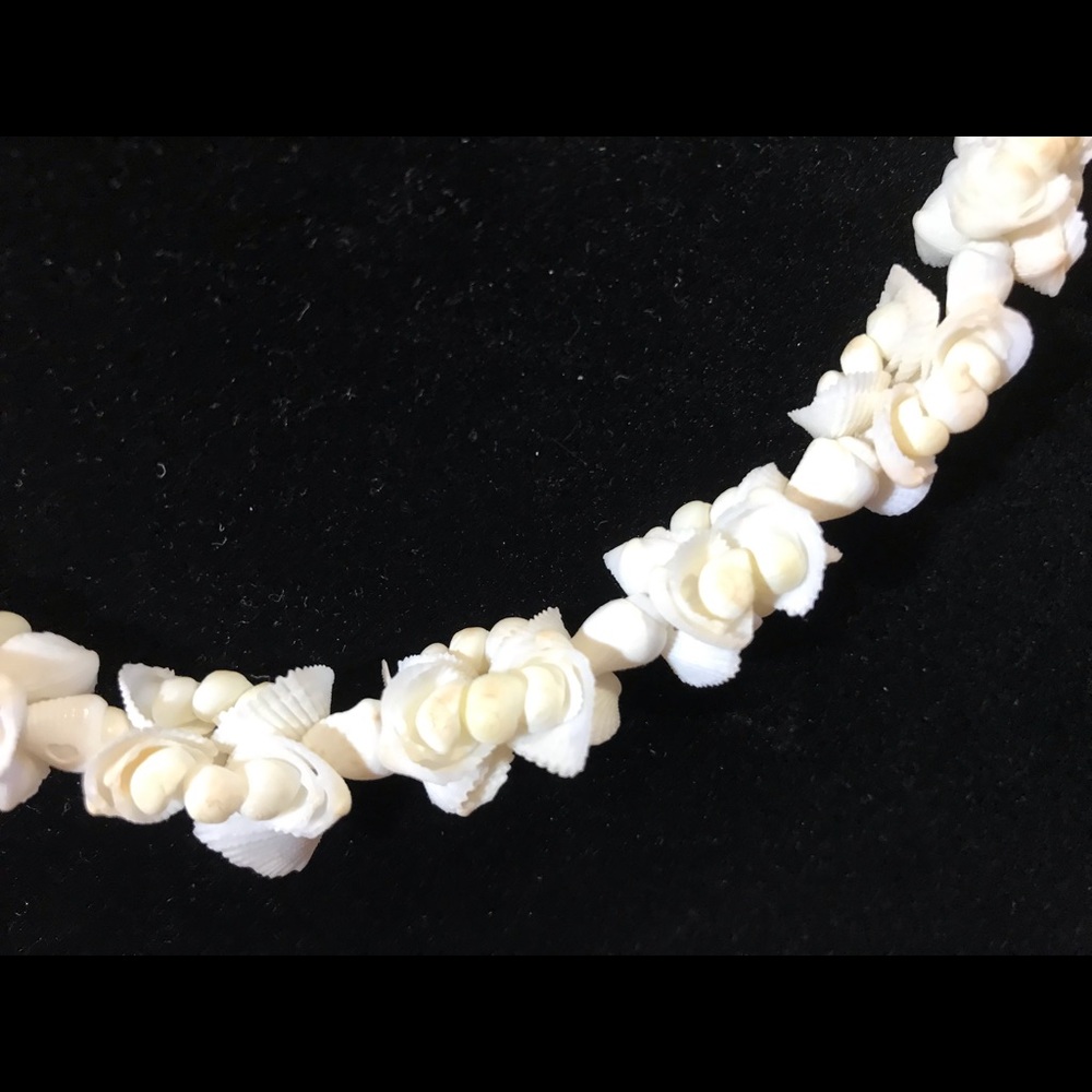 Shell Cluster 18” Necklace from Hawaii